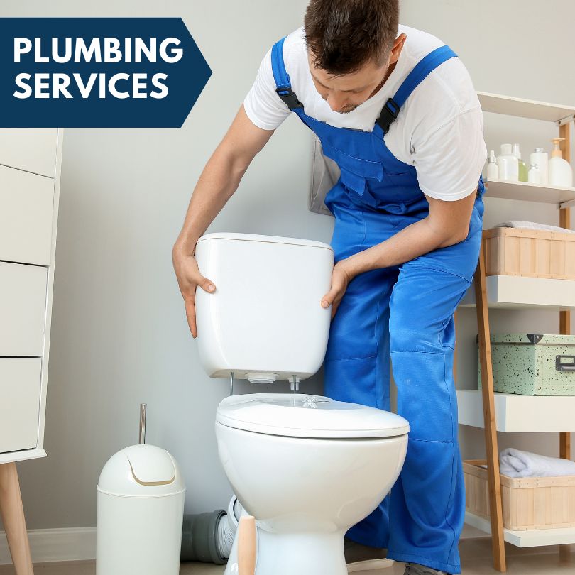 Plumbing Company in La Place, IL